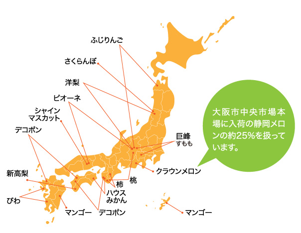 fruitsMAP_Japan_orenge_03